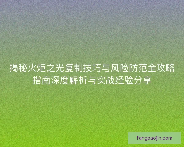 揭秘火炬之光复制技巧与风险防范全攻略指南深度解析与实战经验分享