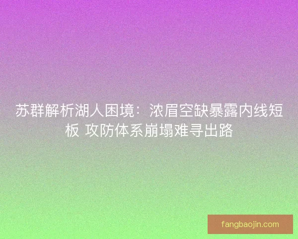 苏群解析湖人困境：浓眉空缺暴露内线短板 攻防体系崩塌难寻出路